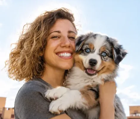Rencontre entre une famille et un chiot Berger Australien avant adoption